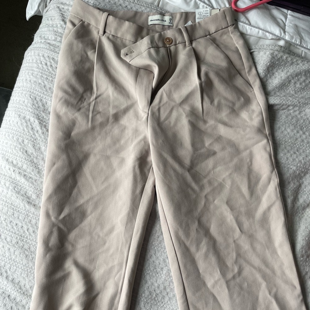Abercrombie Sloane Tailored Pant in shade Light Brown